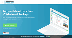 Desktop Screenshot of enigma-recovery.com